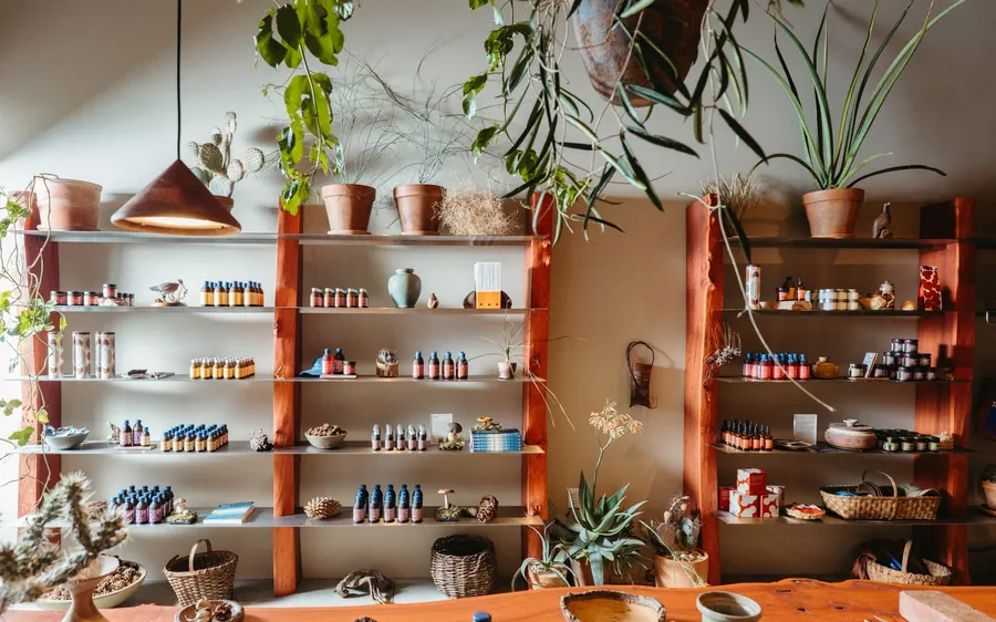 Regale aus rot gebeiztem Ulmenholz mit Flaschen, Gläsern und Pflanzen von Noma Projects im Laden in Silver Lake, Los Angeles